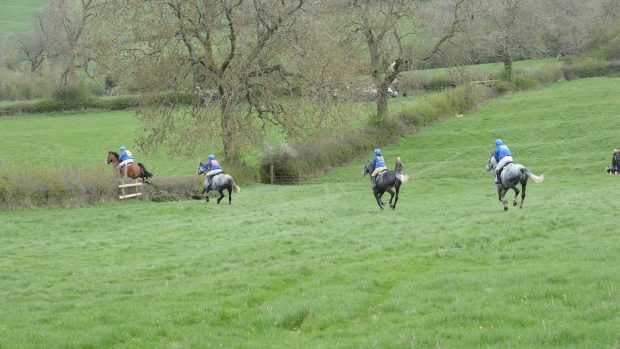 Team chasing rider fall rules 2024