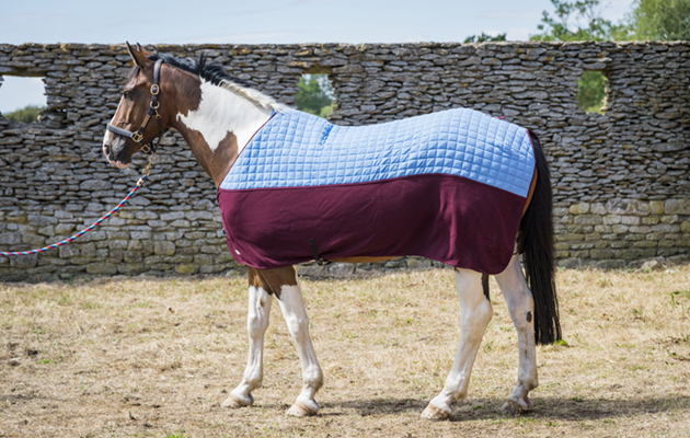 Thermatex Duet Cooler Rug review