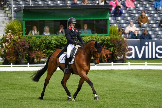 Eventing dressage scoring: Tom McEwen on his way to second place after the first day of dressage with Toledo De Kerser