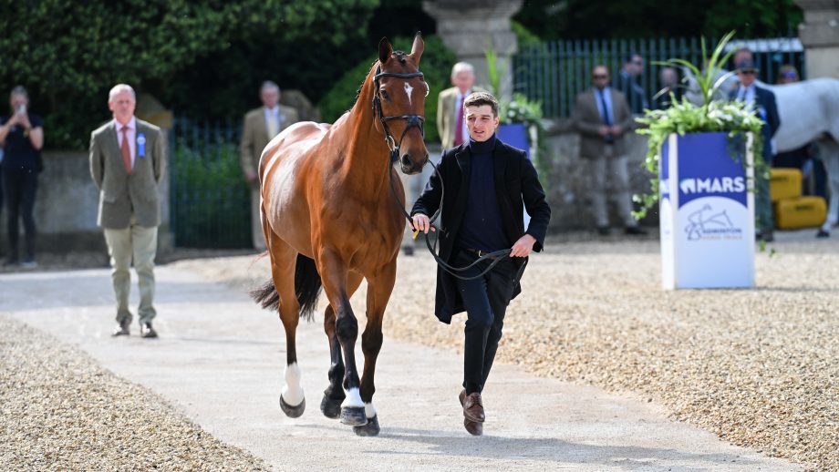 Badminton Horse Trials dressage times 2024: Tom Jackson and Farndon will kick off proceedings