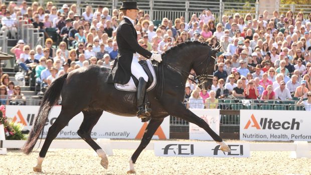 Edward Gal and Totilas at the 2009 European Championships Totilas KWPN stallion show 2019