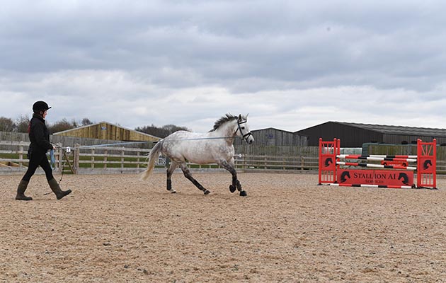 Gem Twist clone Murka's Gem