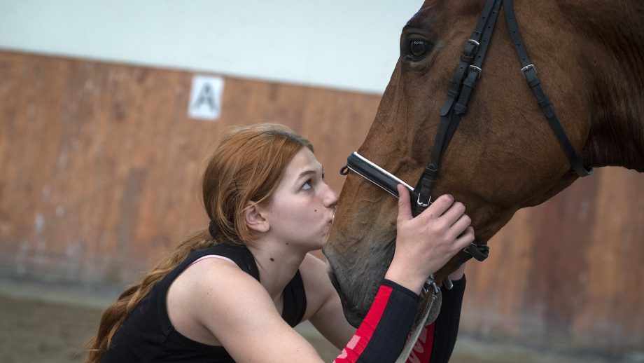 The Ukrainian vaulting team has taken part in its first international competition