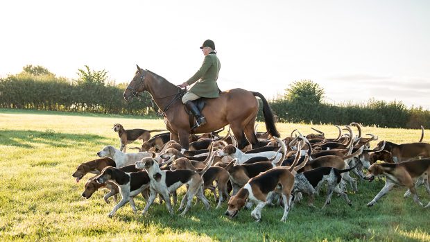 Autumn hunting advice for first timers