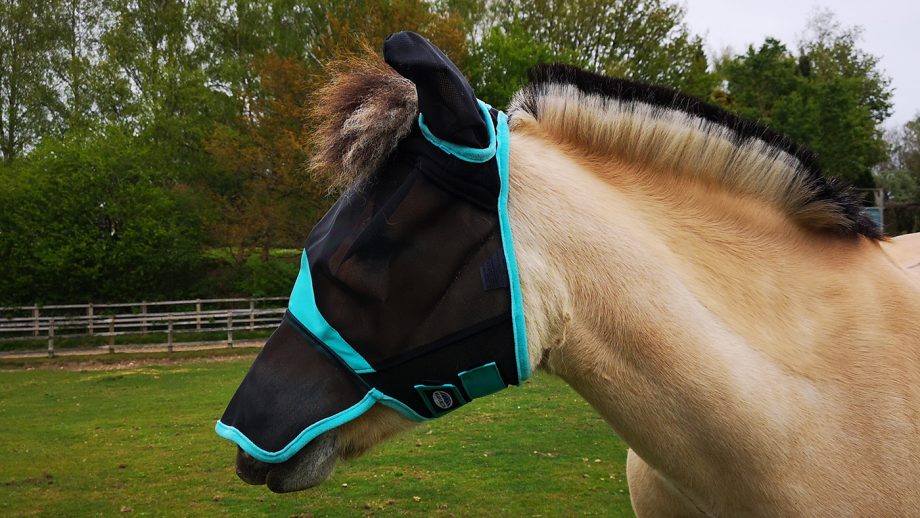 WeatherBeeta ComFiTec fly mask from side