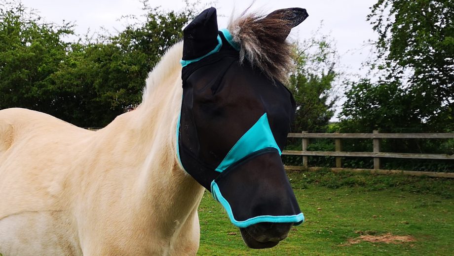 WeatherBeeta ComFiTec fly mask from side