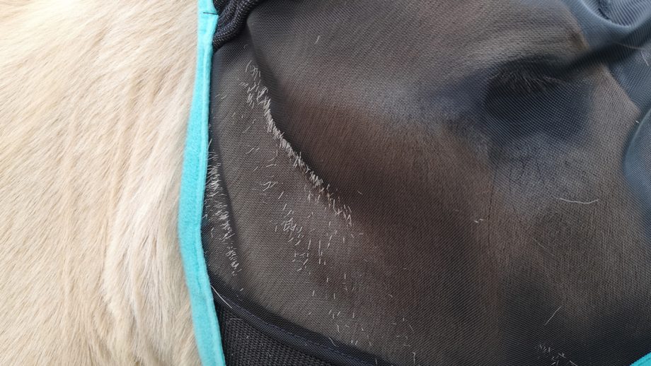 WeatherBeeta ComFiTec fly mask mesh